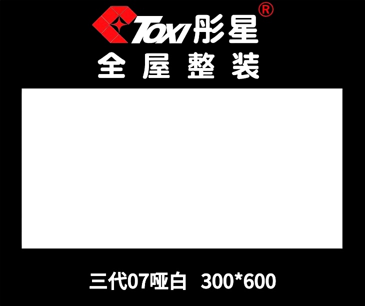 铝扣板——三代07哑白300*600