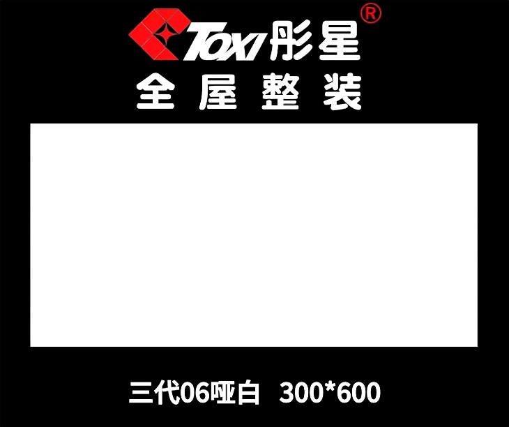 铝扣板——三代06哑白300*600